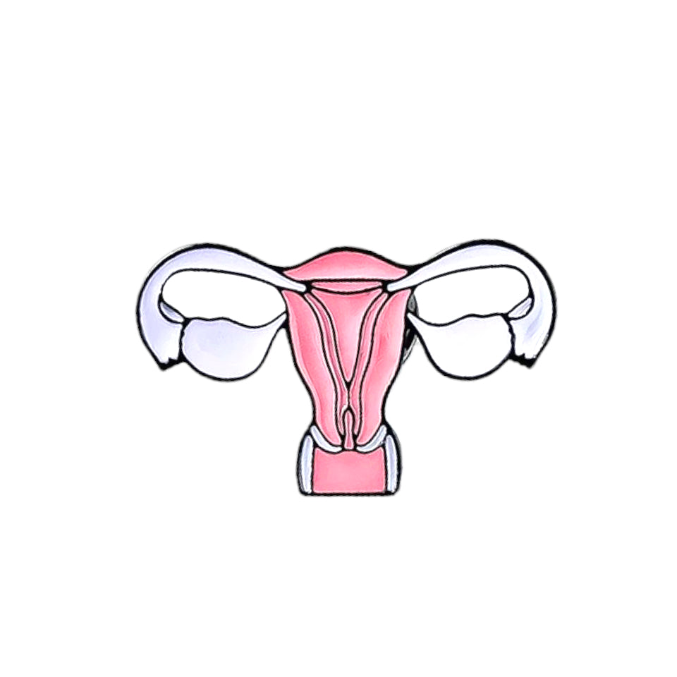 Pin — Cervix / Uterus