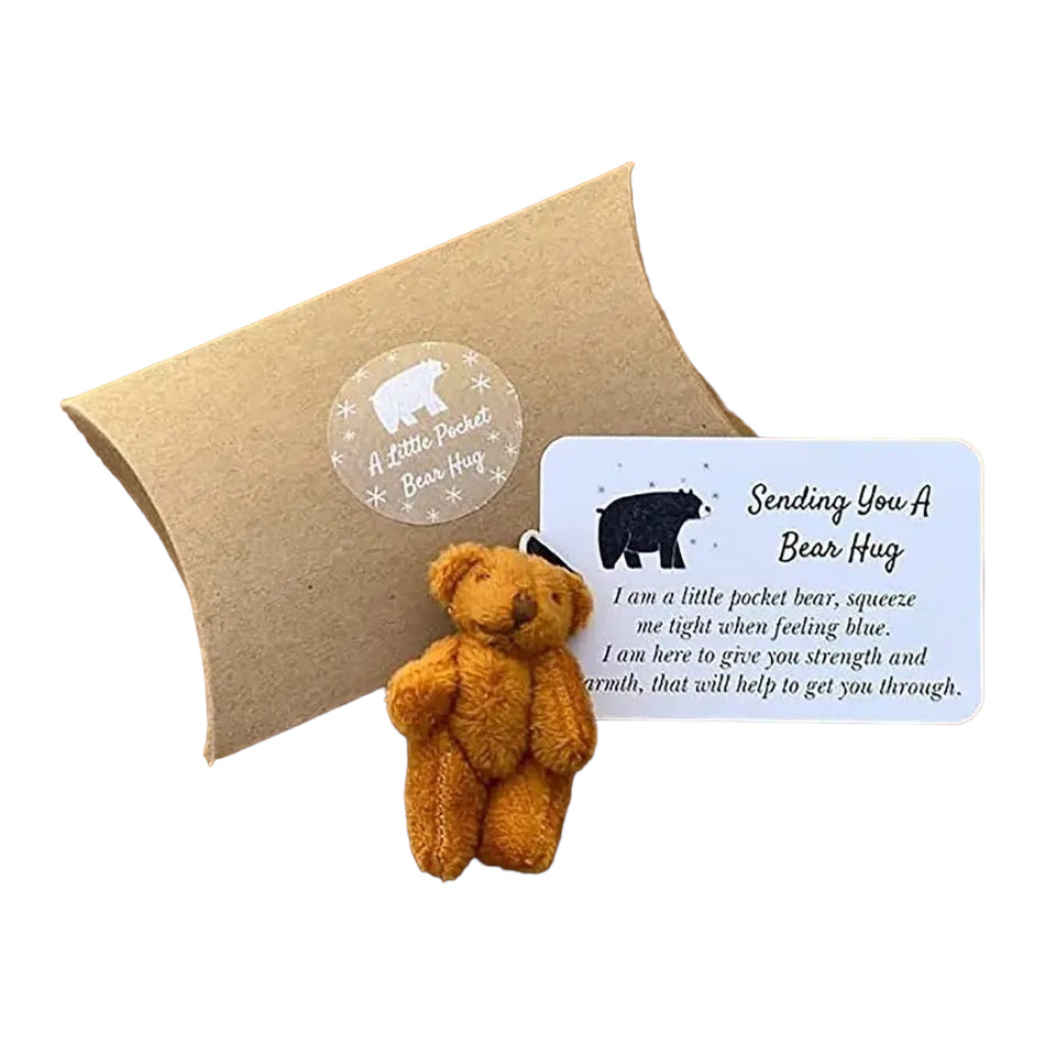 Encouragement — ‘Sending you a bear hug’ bear.
