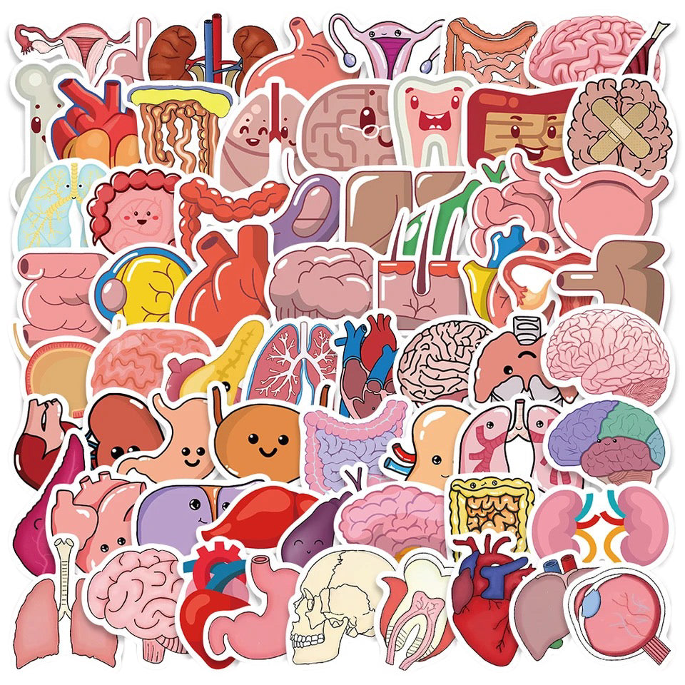 Stickers — Internal Organs Theme