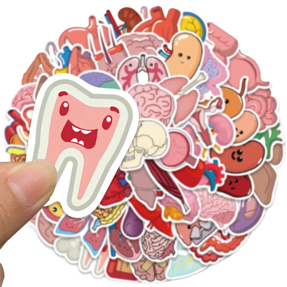 Stickers — Internal Organs Theme