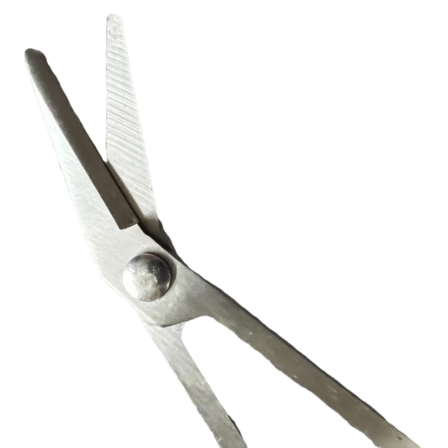 Long Handled Toenail Scissors SPIRIT SPARKPLUGS