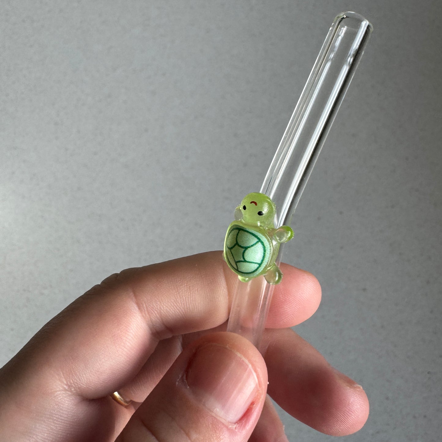 Turtle Friend Straws