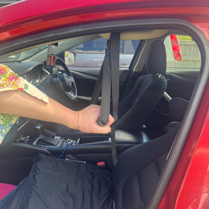 Car Standing Transfer Aid