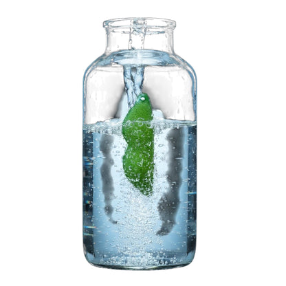 Bean Bottle Cleaner