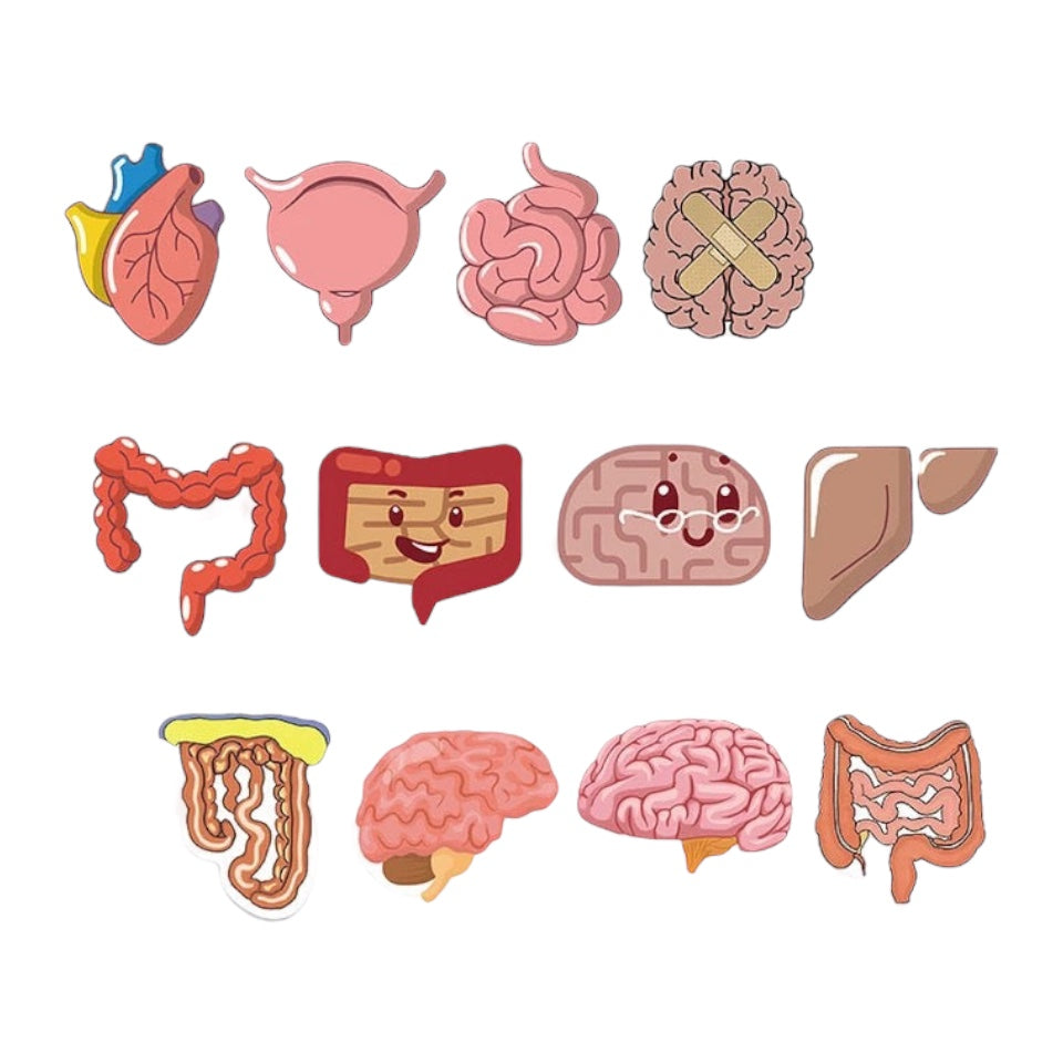 Stickers — Internal Organs Theme