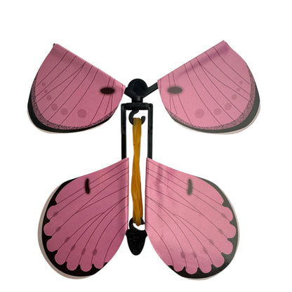 Experience — 3D Butterflies