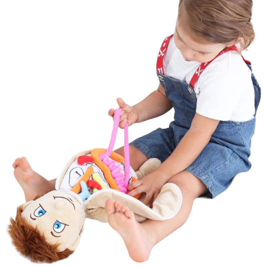 Learning Doll — Organs Soft Toy