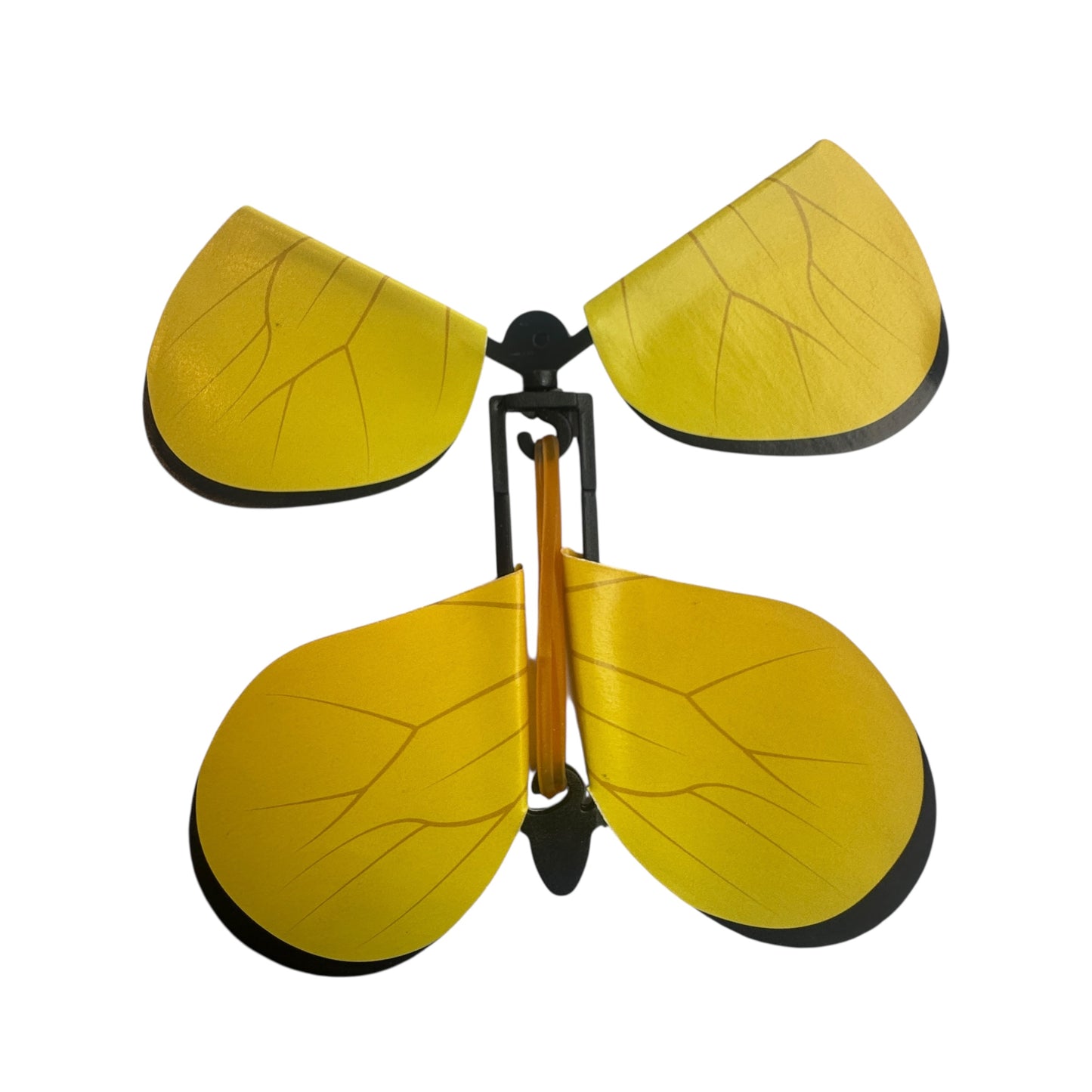 Experience — 3D Butterflies