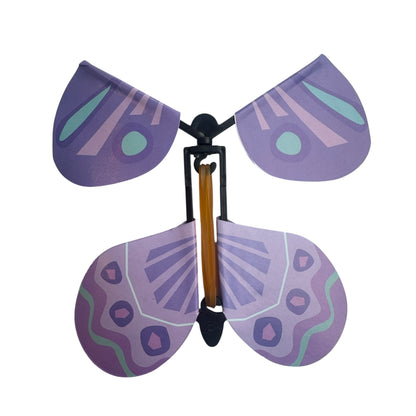 Experience — 3D Butterflies