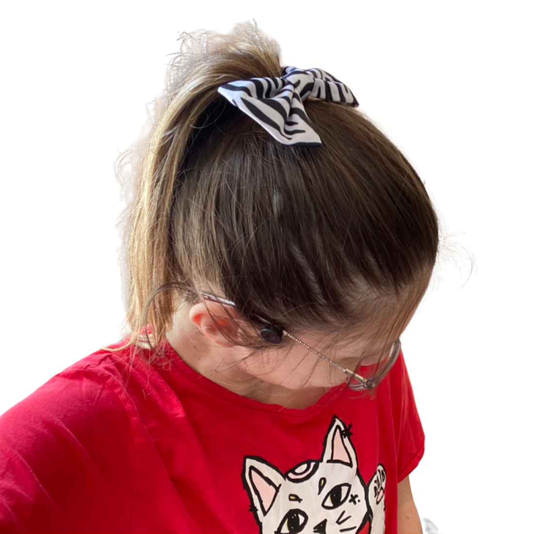 Hair Bow — Zebra Hair Claws & Clips SPIRIT SPARKPLUGS   